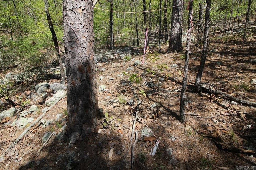 Picture 19