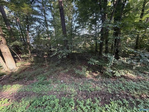 Land, Guntersville, AL
