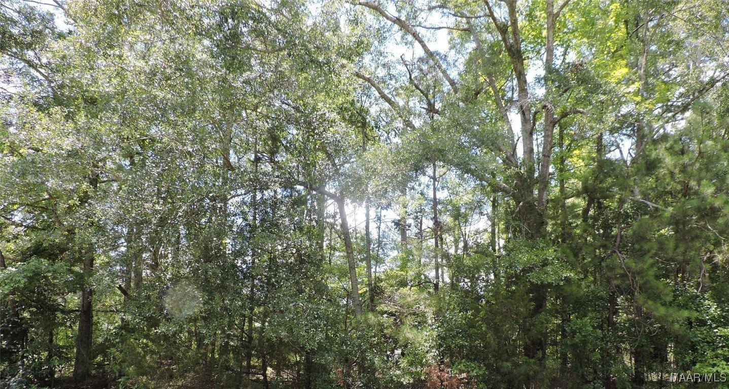 Greenville Land for Hunting/Recreation