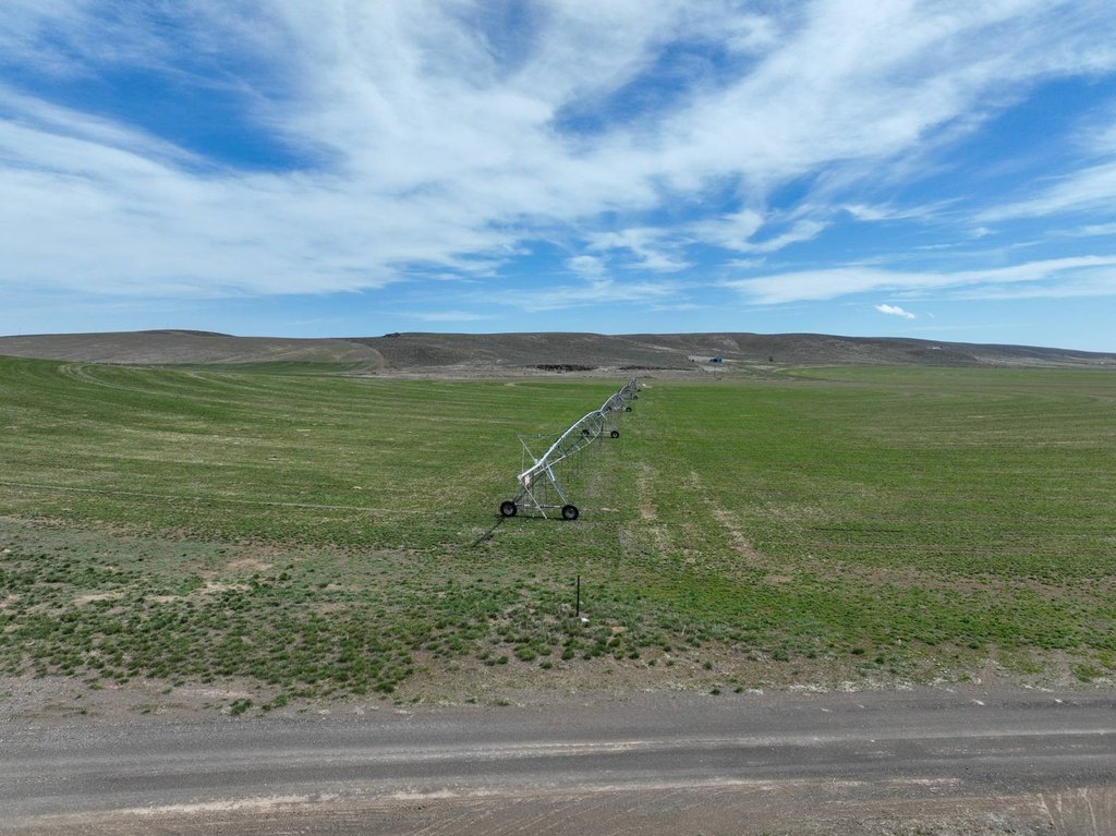 Picture 30