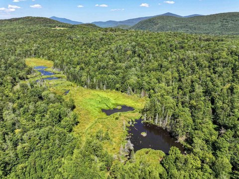 Wooded Recreation Land Parcel