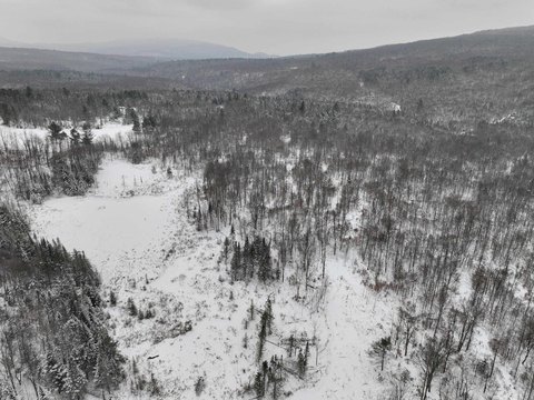 Wooded Recreation Land Parcel
