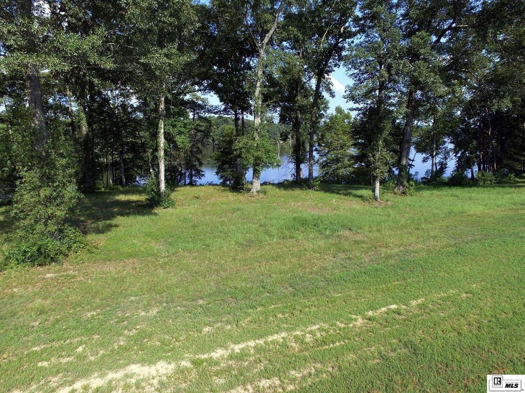 Picture 18