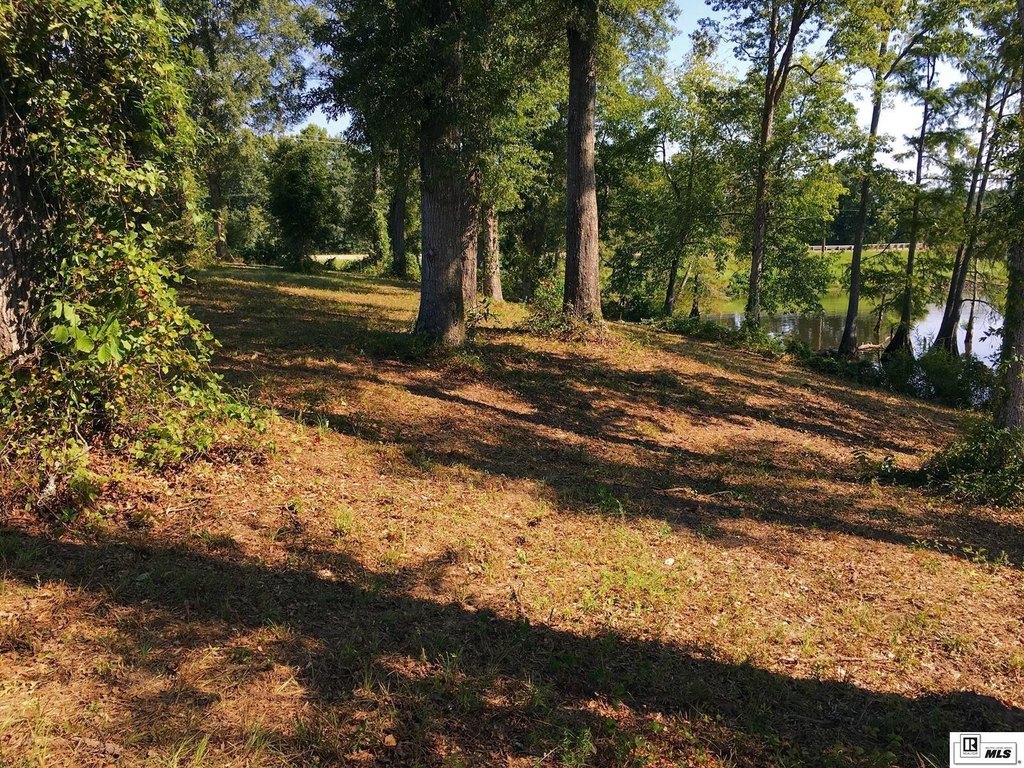 Picture 23