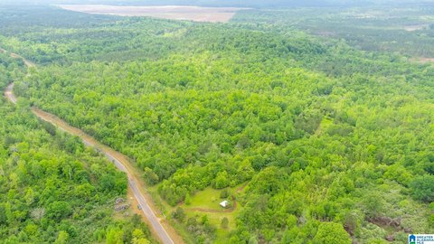 LAND - TALLADEGA, AL