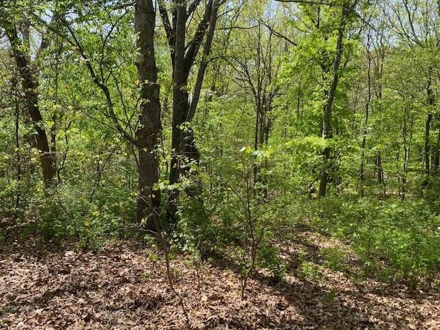 Wooded Lot in Upscale Community