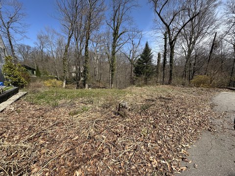 Land with Lake Michigan Access