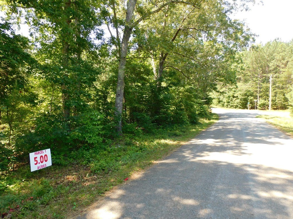 Picture 6