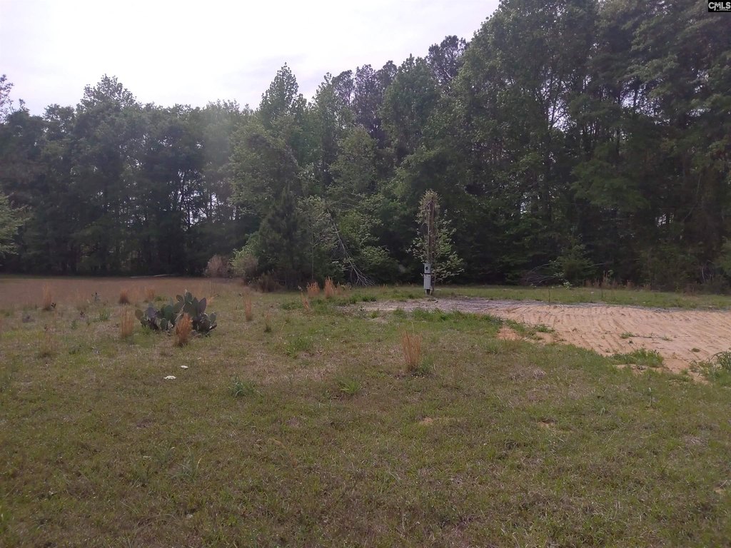 Picture 3
