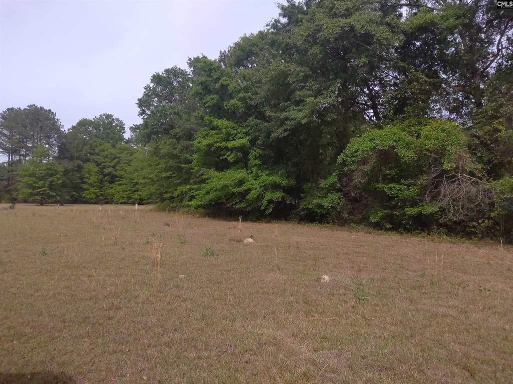 Picture 4