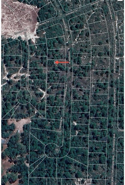Picture 8