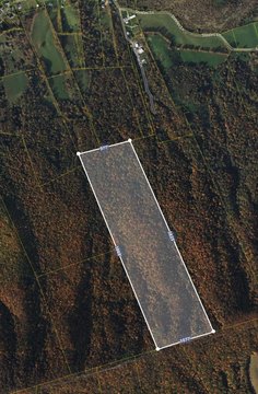 90 Acres of Untouched Land