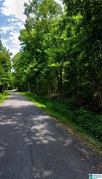 Wooded Lots in Hickory Hills