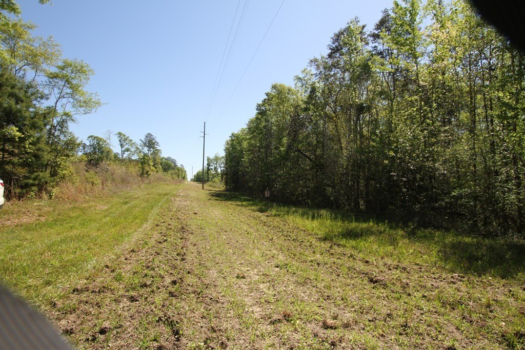 Picture 8