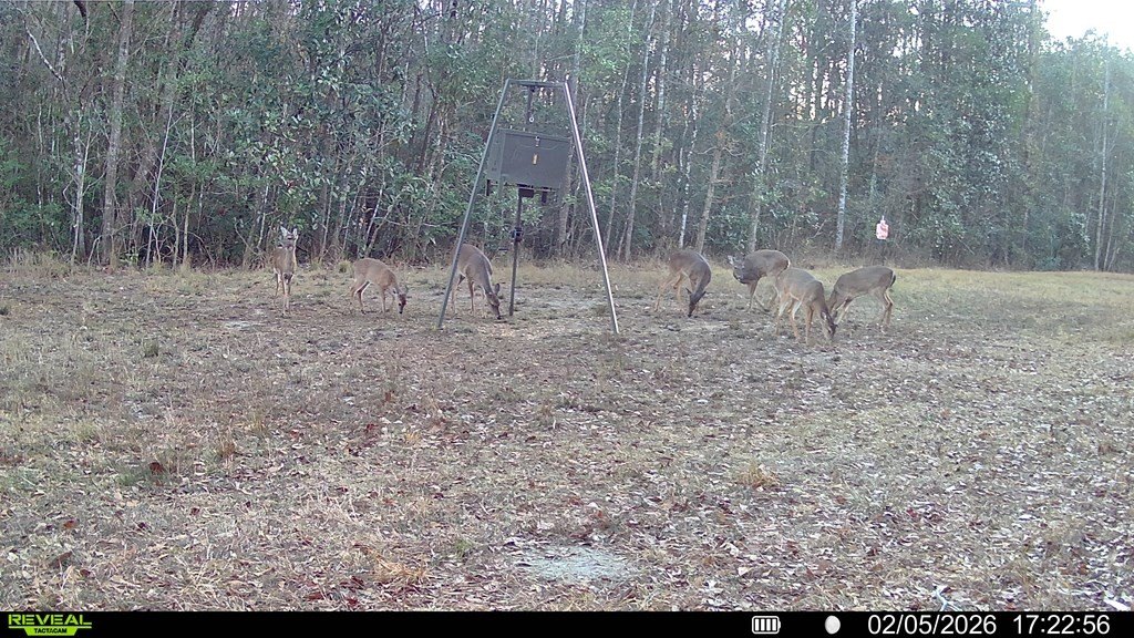Picture 14