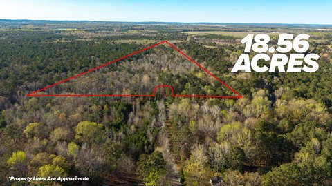 Sumter Land For Sale