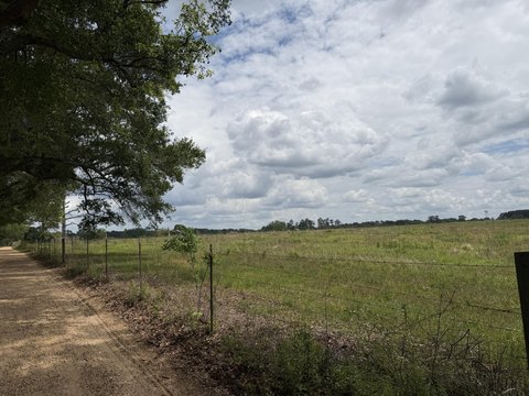 Lumberton Pastureland on Good Hill Road
