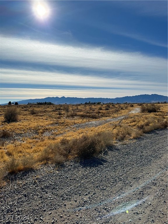 Picture 6