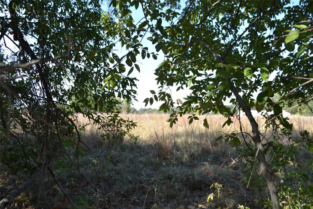 Picture 3