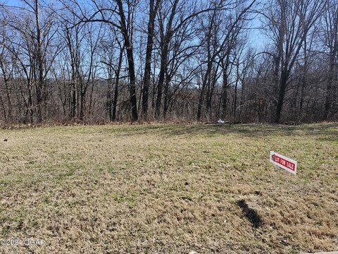 Residential Land in Joplin, MO