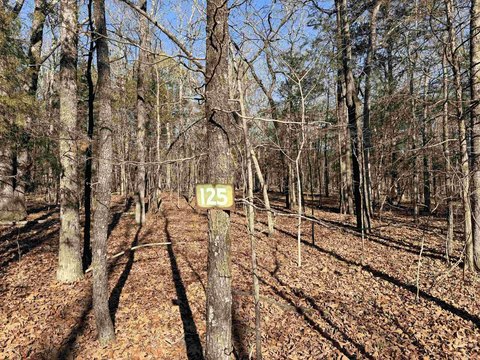 Drasco Land Near Golf Course