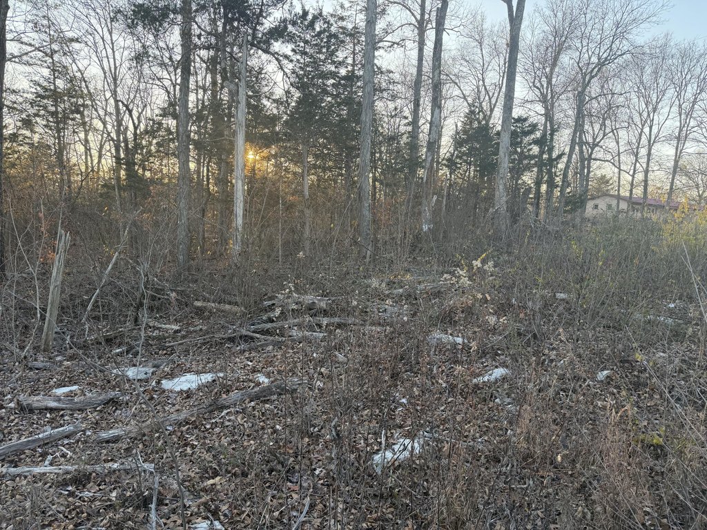 Picture 3