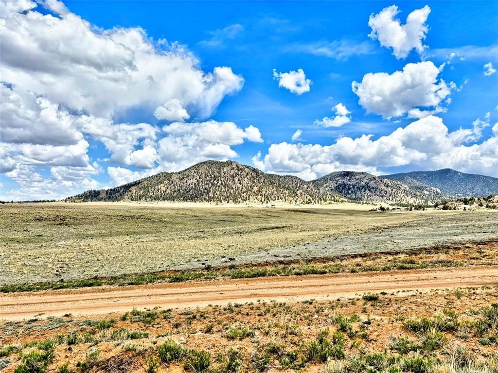 Picture 19