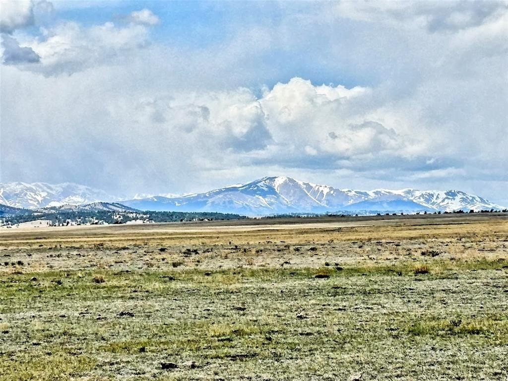 Picture 25