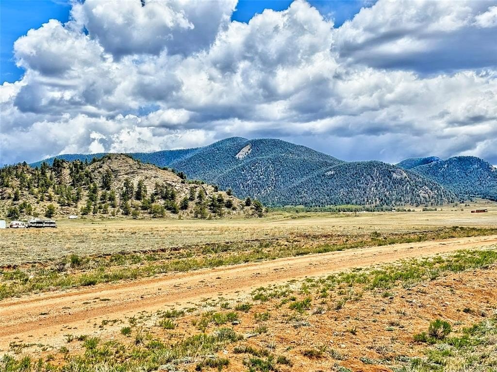 Picture 23