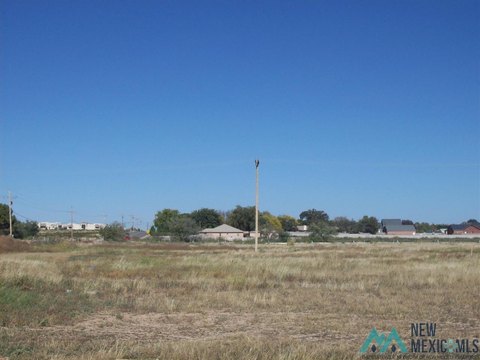 Residential Land in Artesia, NM