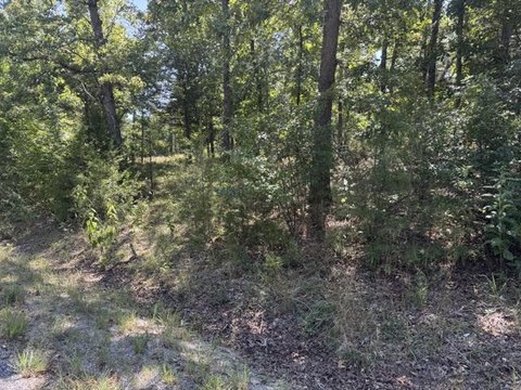 LAND - Holiday Island, AR