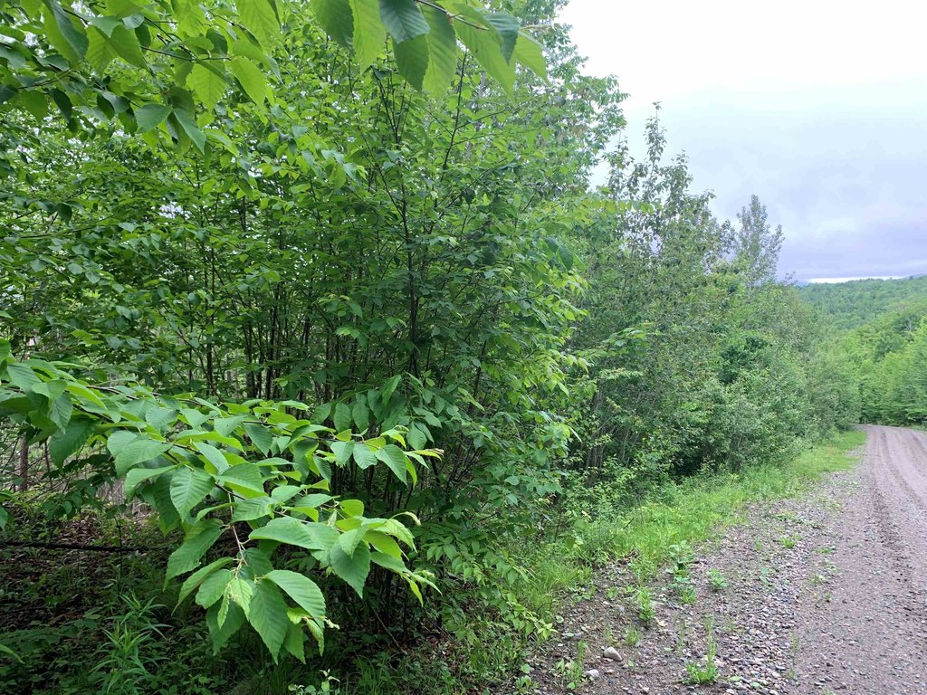 Picture 13