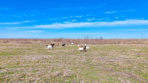Serene 5-Acre Land in Corsicana
