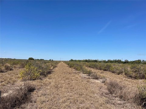Agricultural Land with Road Access