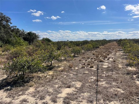 Agricultural Land with Well Access
