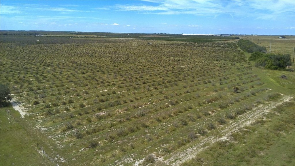 Picture 14