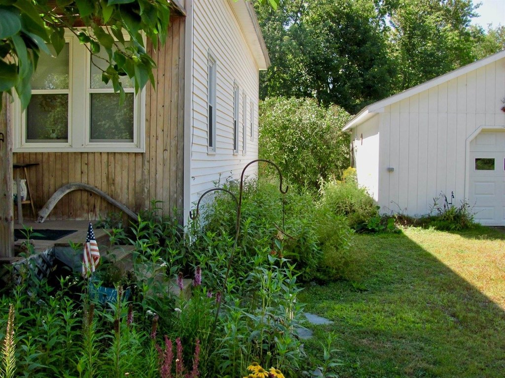 Picture 19