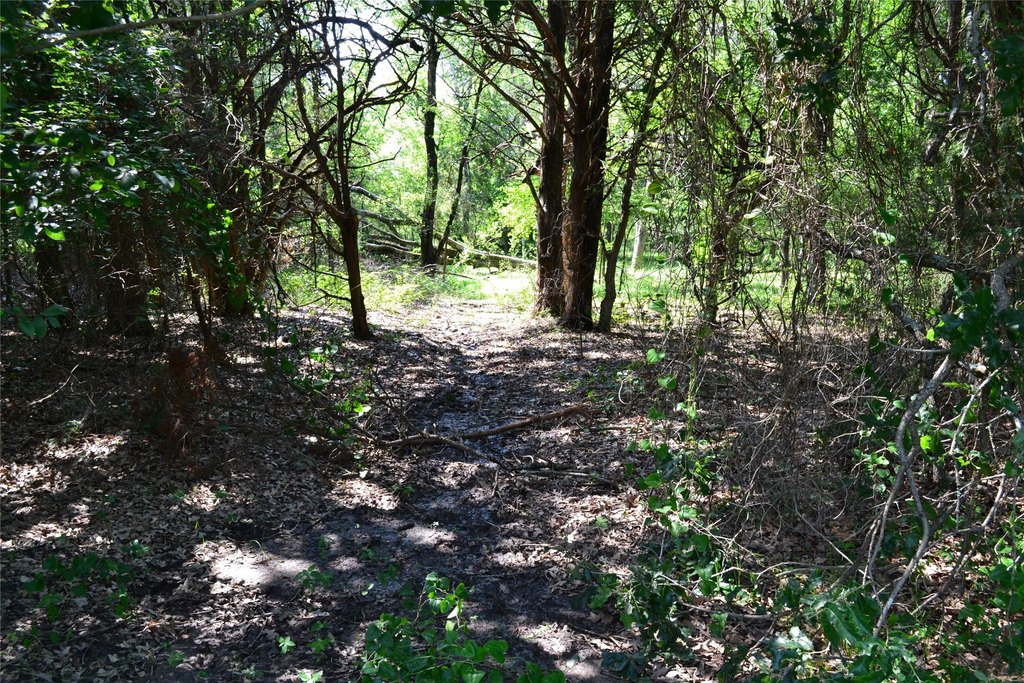 Picture 10