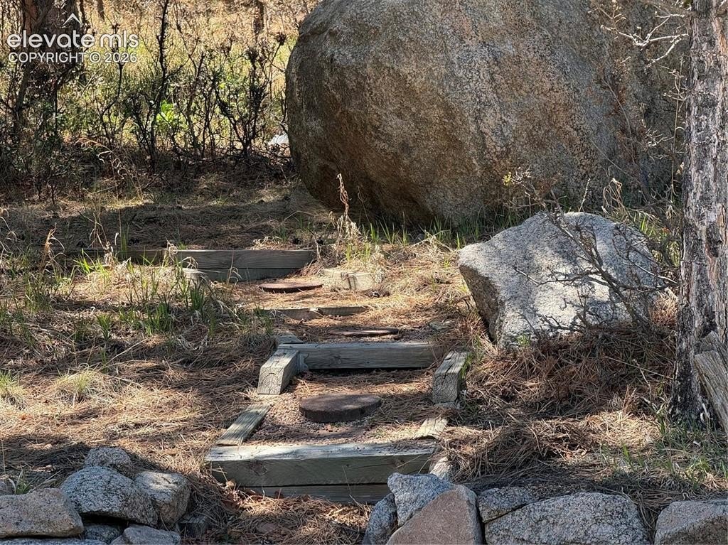Picture 6