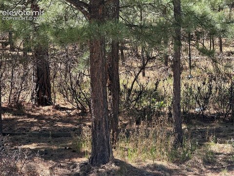 Cheyenne Mountain Land Opportunity
