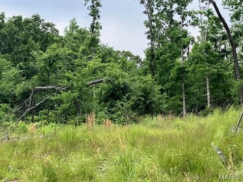 LAND - Fredericktown, MO