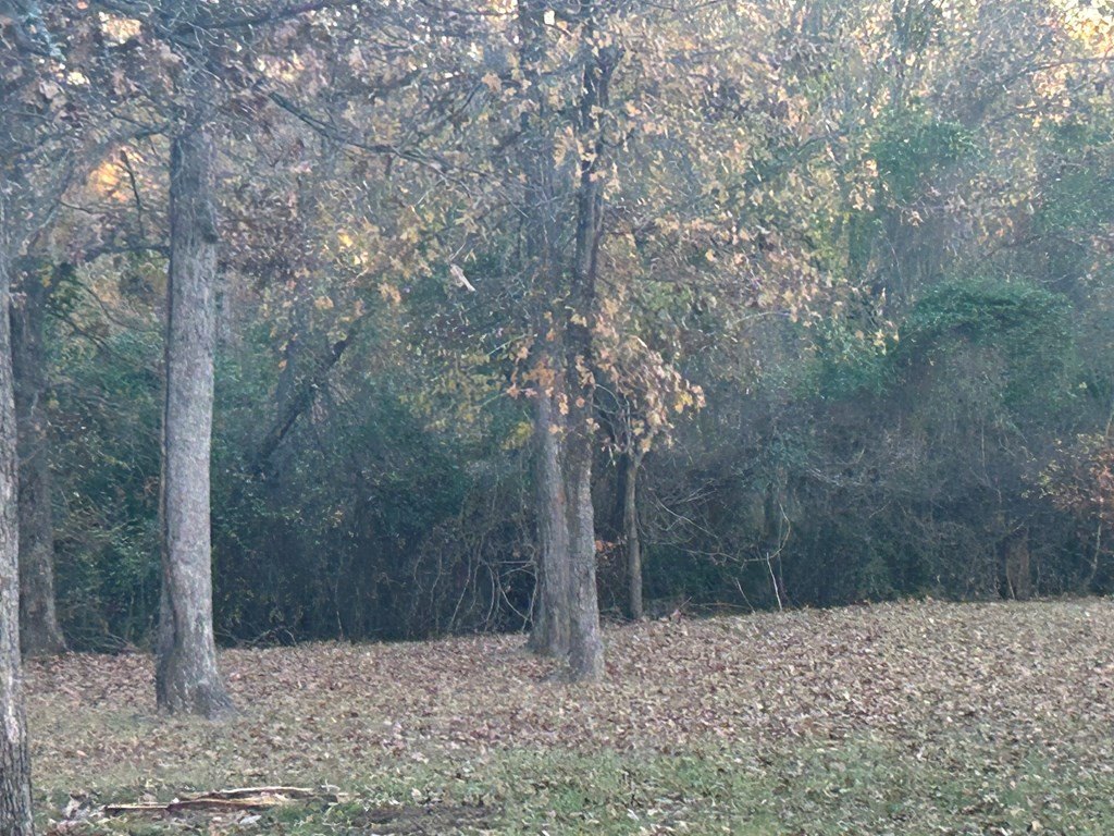 Picture 2