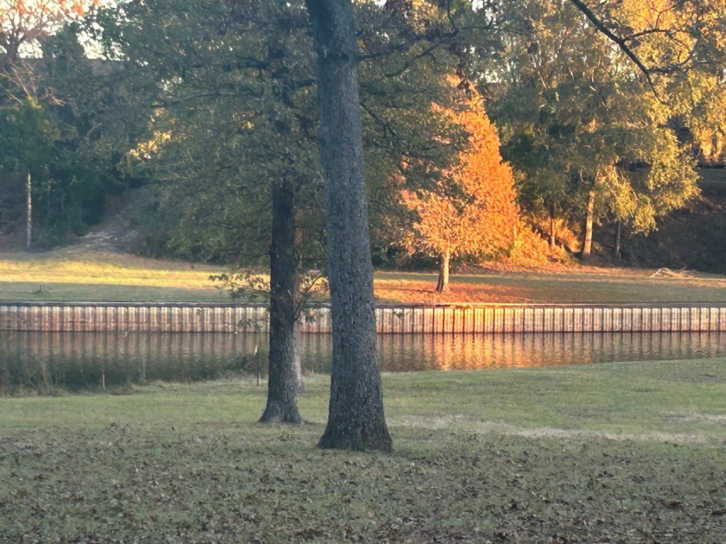 Picture 3