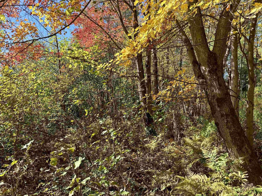 Picture 25