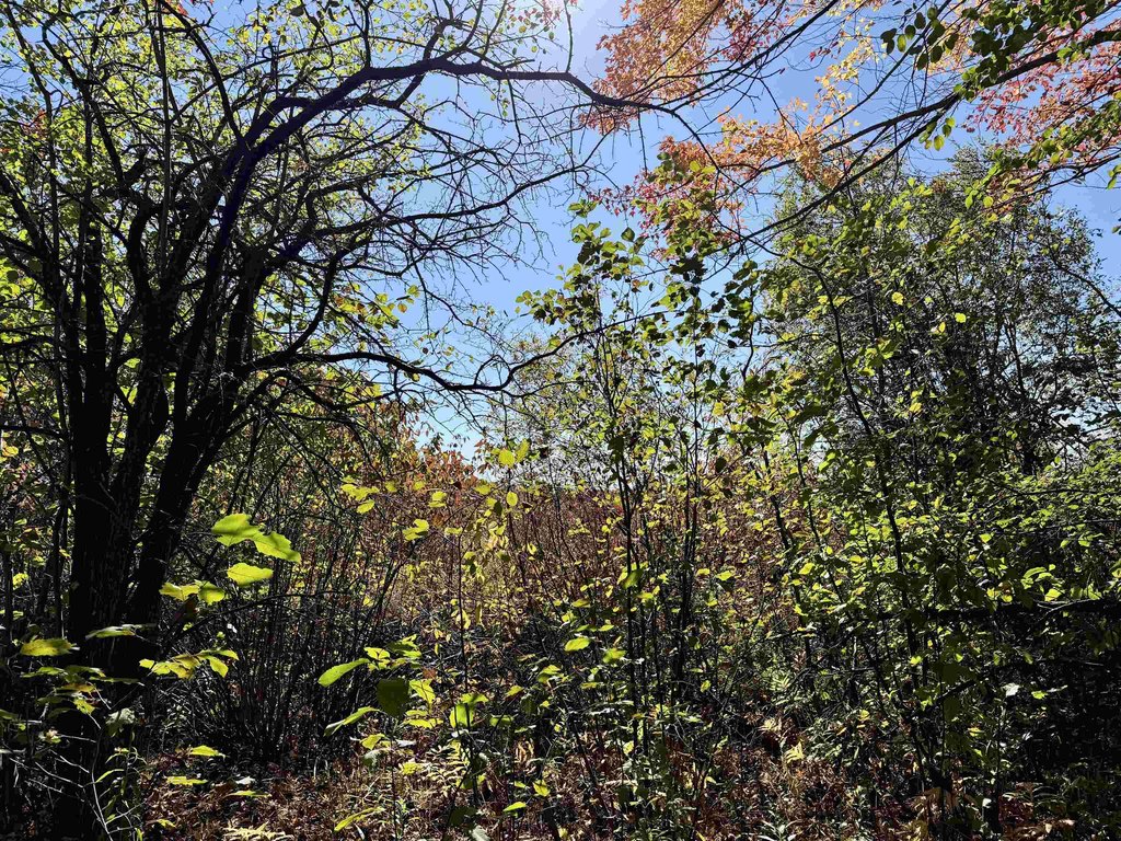 Picture 27