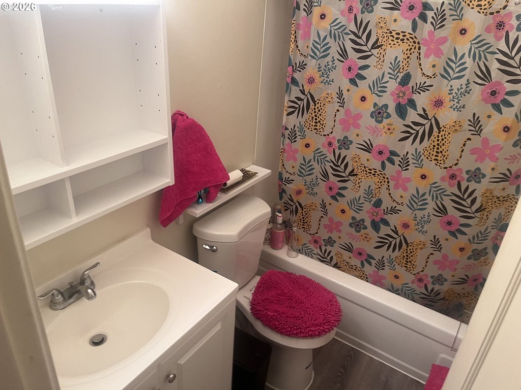Picture 5