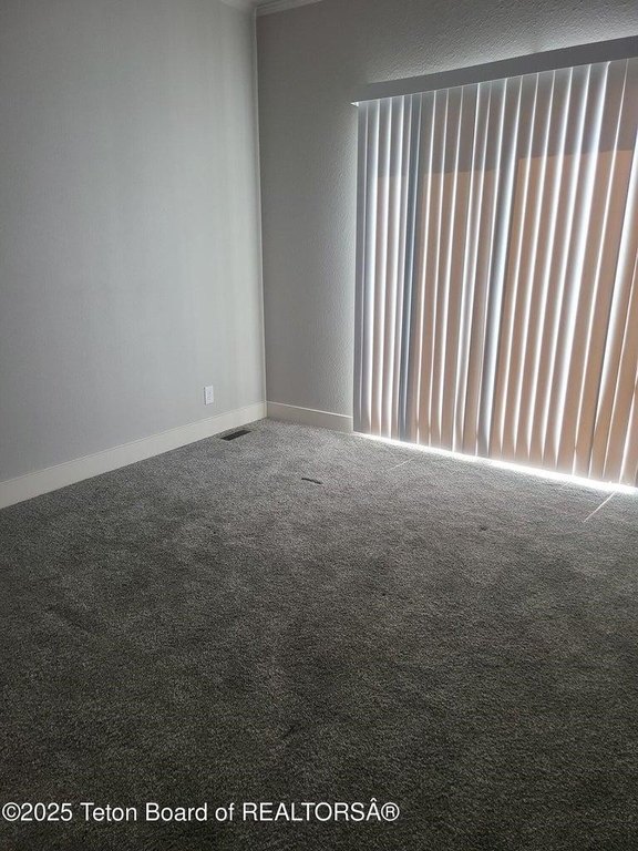 Picture 38