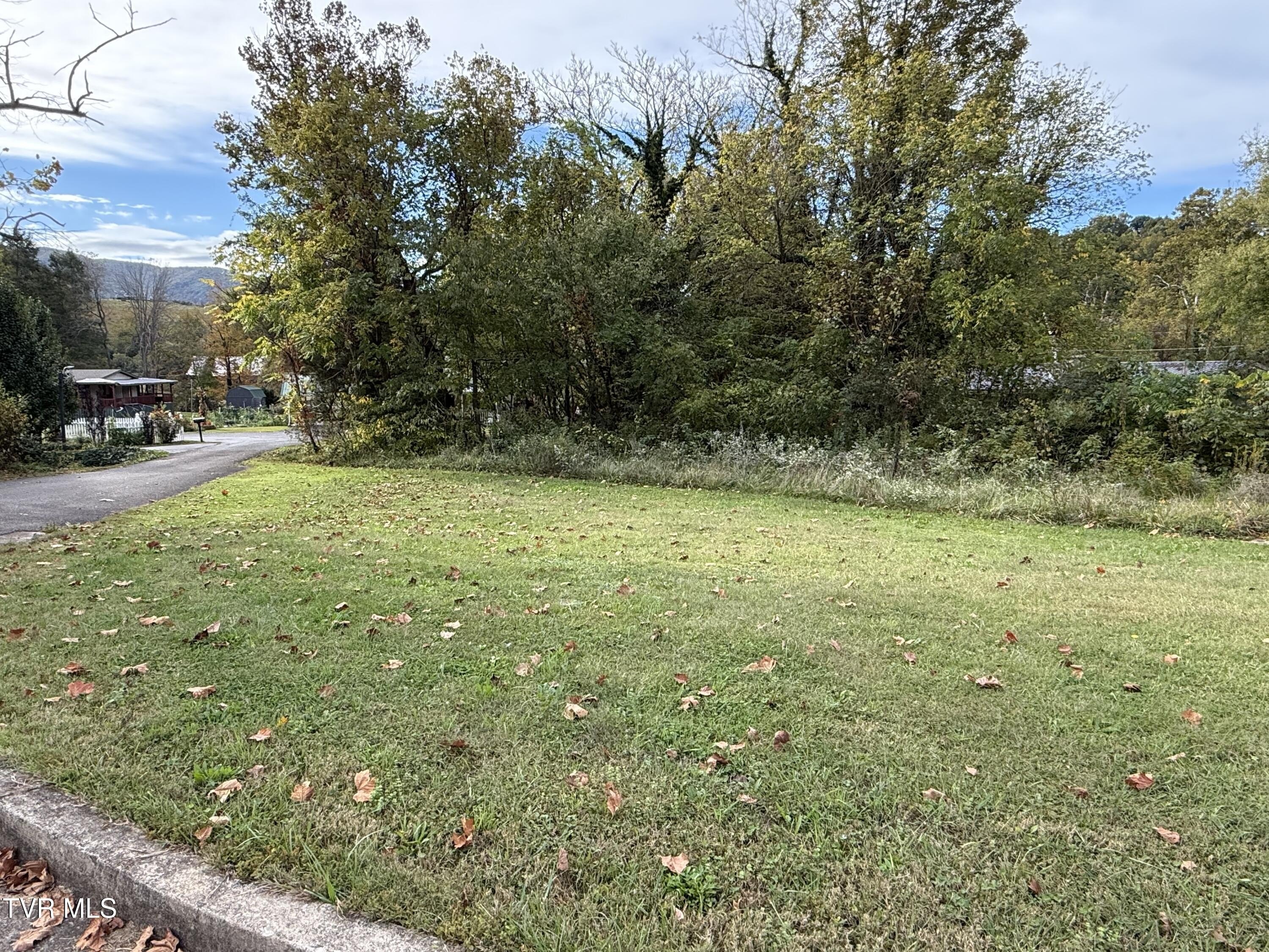 Creekfront Lot in Elizabethton, TN