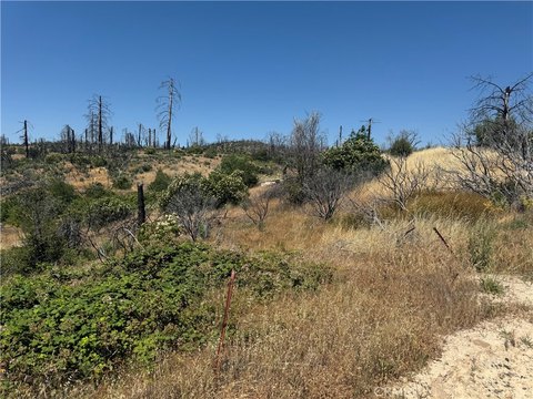 Berry Creek Mountain Top Land