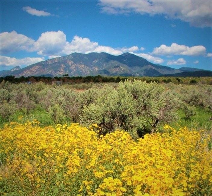 Land with Water Rights, Views